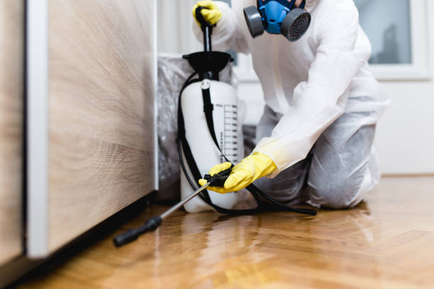 Reliable Kettering, OH Pest Control Solutions