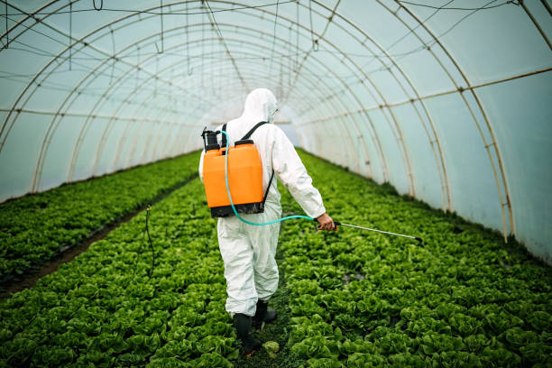 Best Affordable Pest Control Services  in Kettering, OH