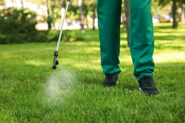 Best Flea Control Services  in Kettering, OH