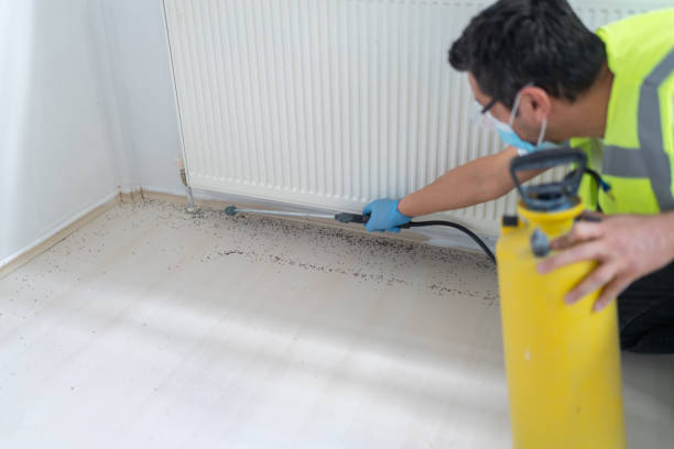 Best Pest Inspection Near Me  in Kettering, OH